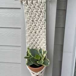 Macrame Hanger With Plant