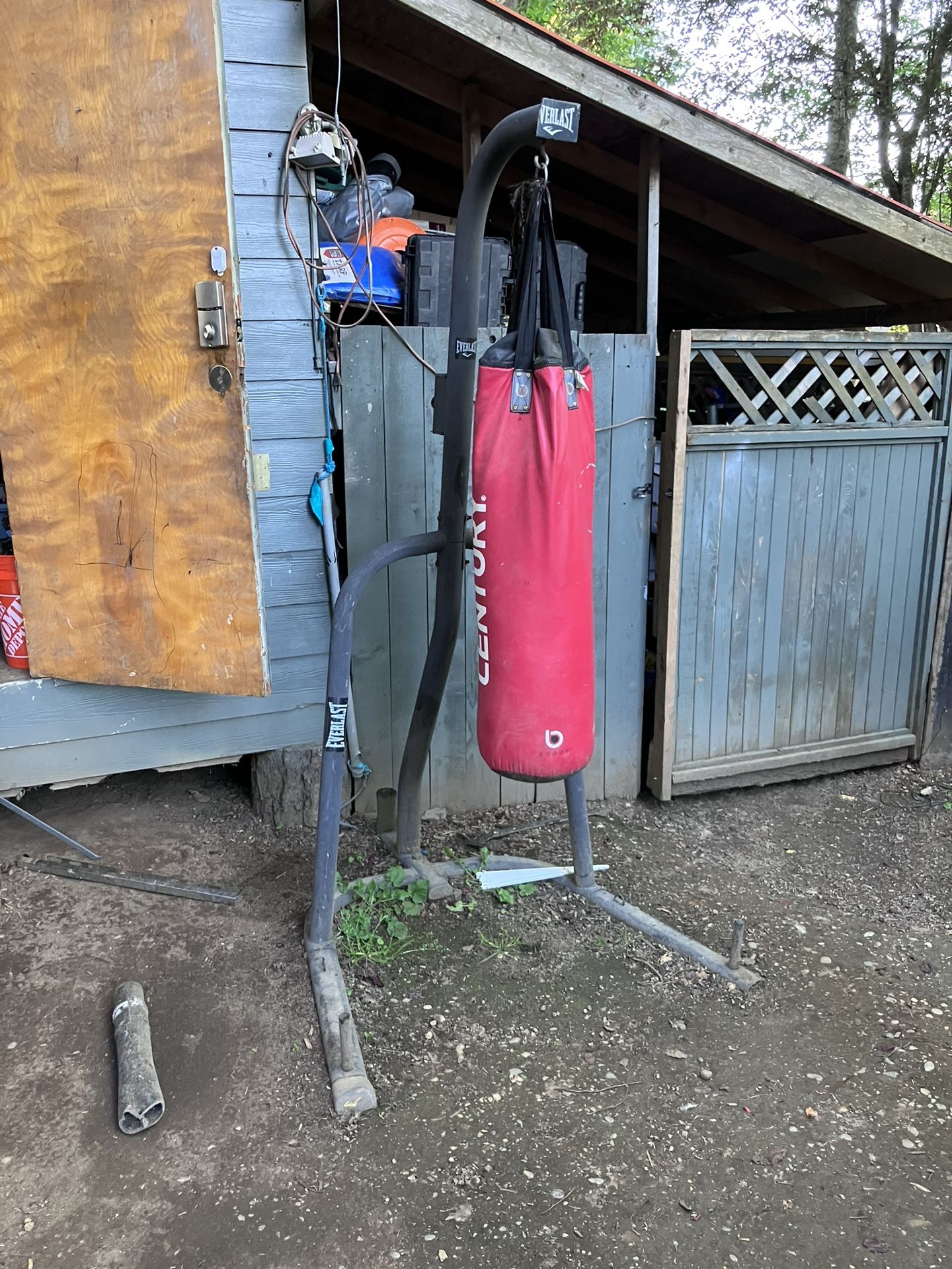 Punching Bag