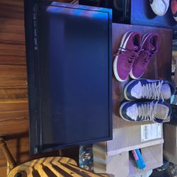 Vizeo 28 Inch Tv Hd Works Great