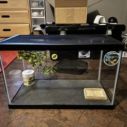 20 Gallon Terrarium 