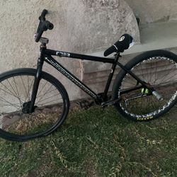 29 Inch BMX 
