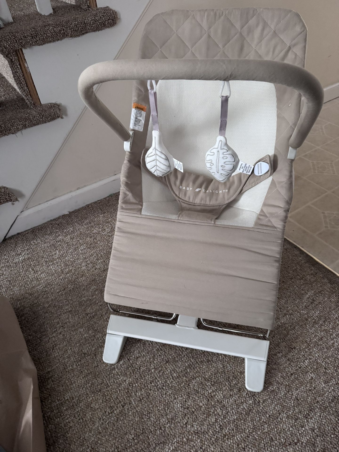 Baby Bouncer