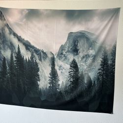 50” x 60” half dome cloth wall mural