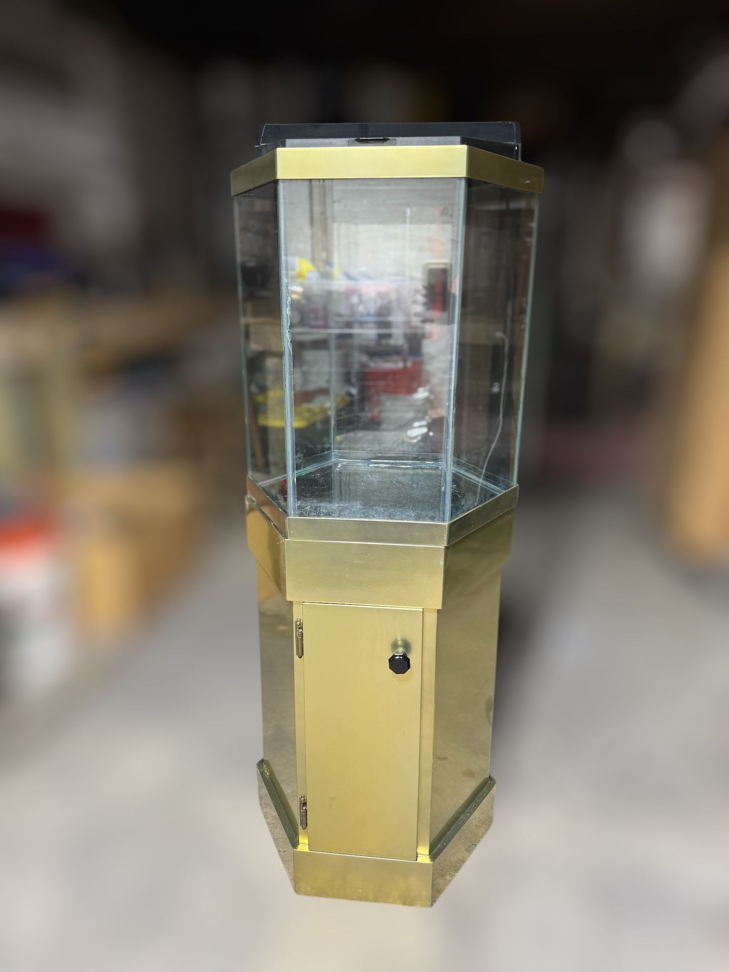 35 Gallon Hexagon fish Tank With Stand, Light, And Custom Paint Job