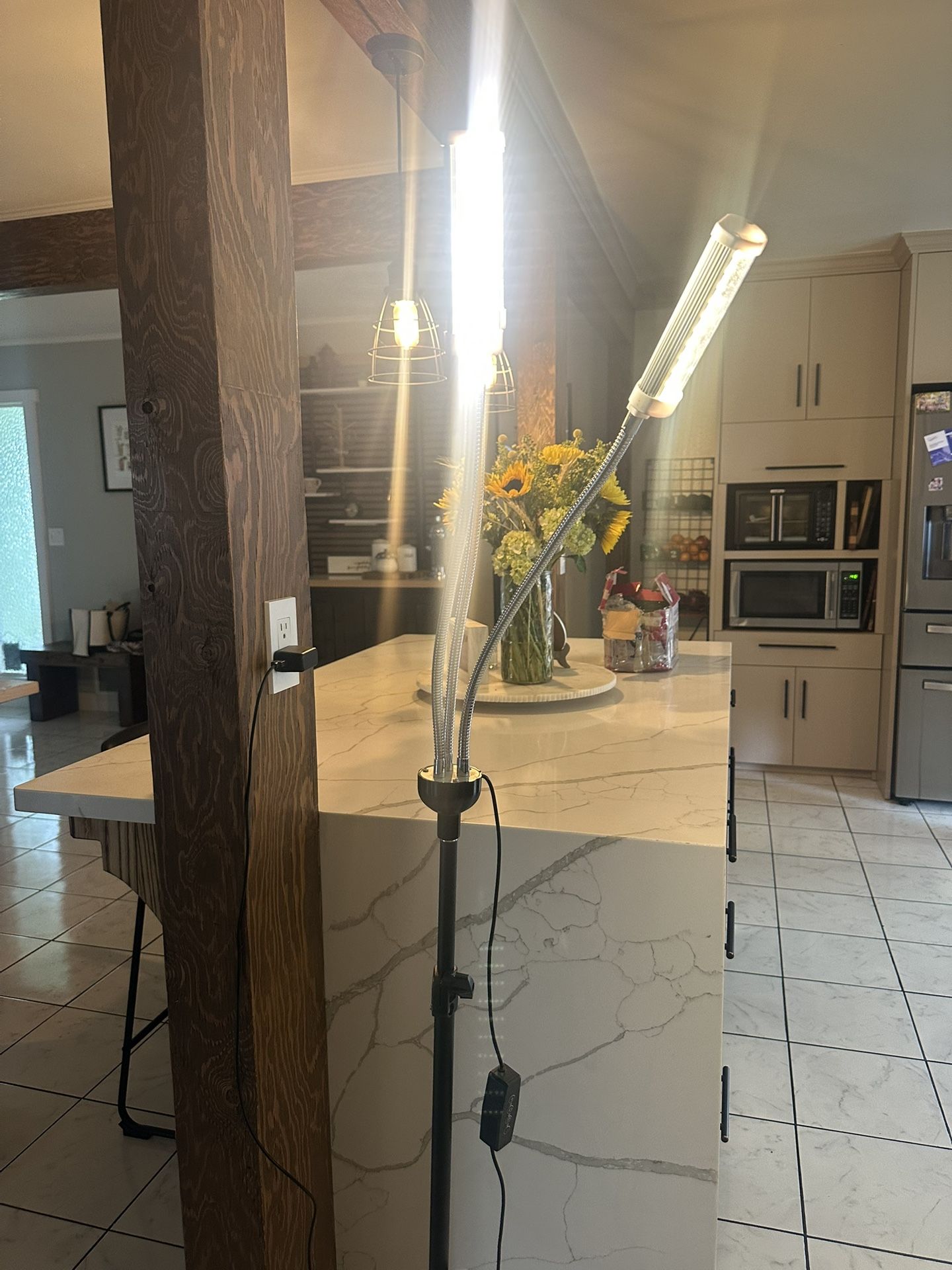 Grow Light For Plants