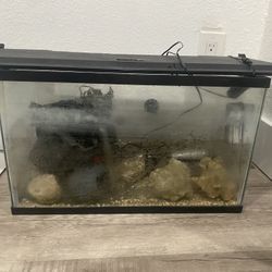 10 Gallon Fish Tank Ready To Go