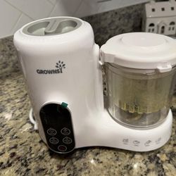 Steamer and blend for baby