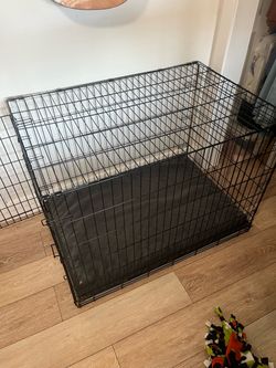 Kennel