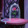 Enchanted Rose 