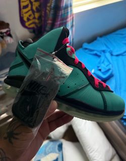 LeBron South Beach 8