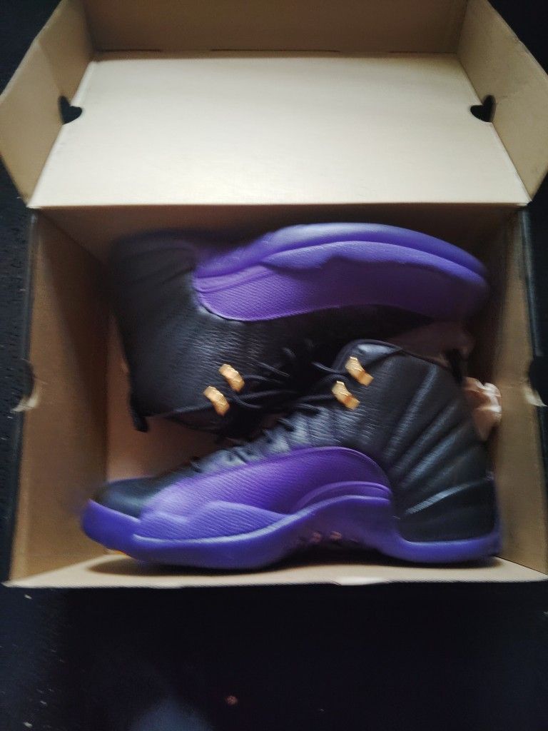 Jordan 12