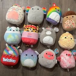 Lot of 12 various squishmallow, 8” inches