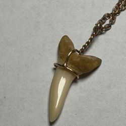 Shark Tooth Necklace