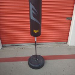 Standing Punching Bag