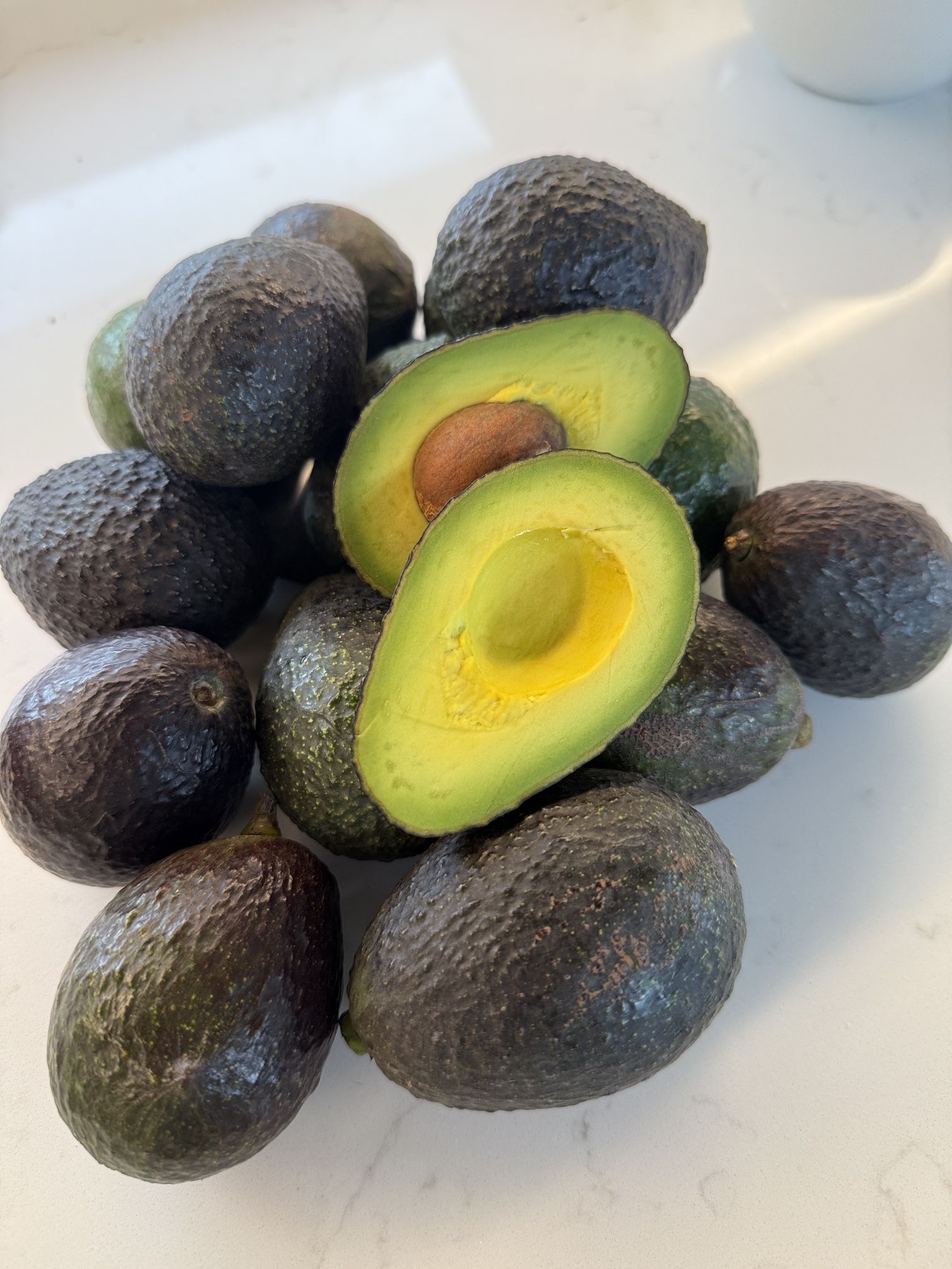6/14 , 8-1pm -Local, fresh Avocados & Macadamia Nuts For Sale!!!