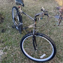 Black River 18 Speed