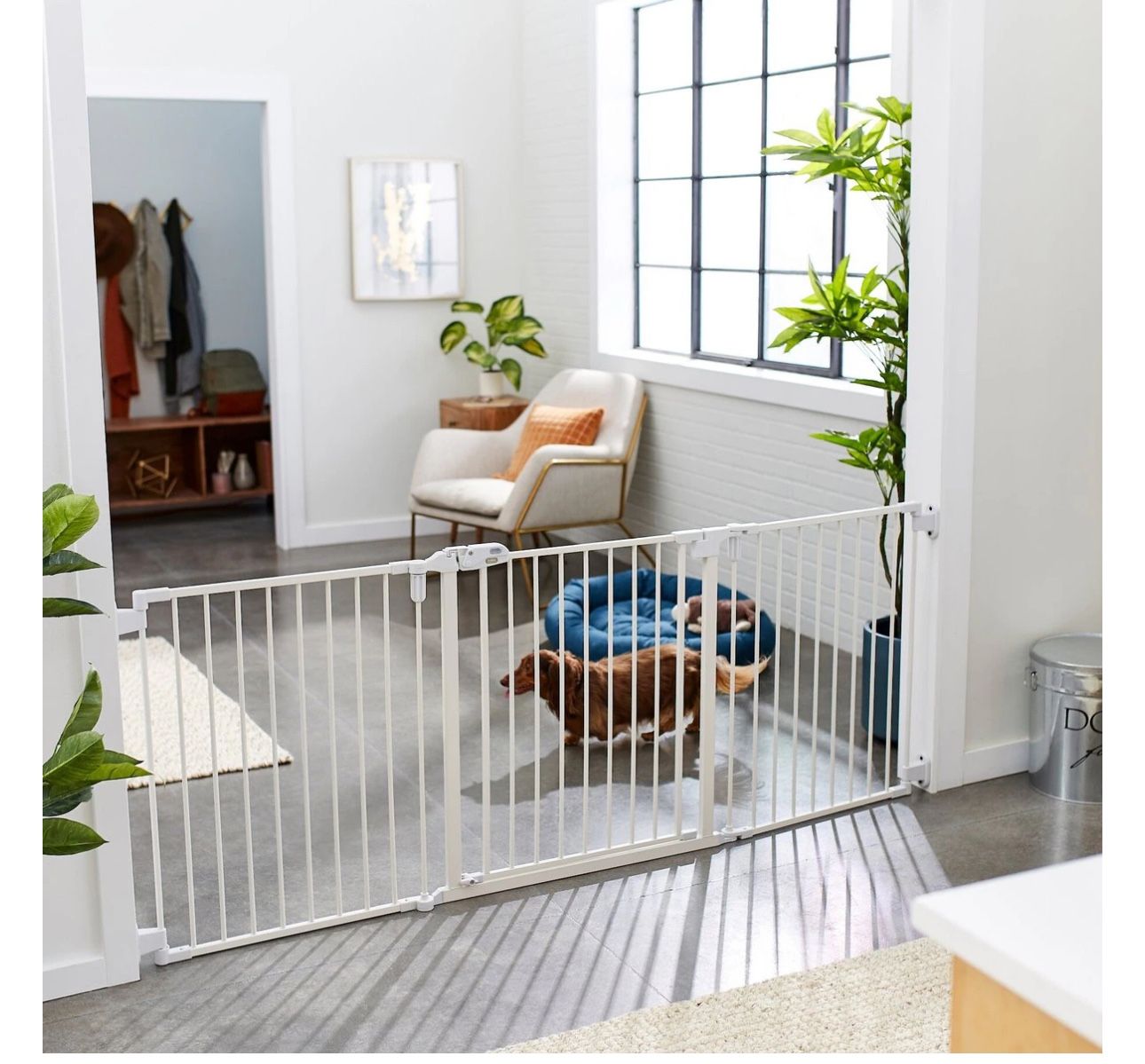 Frisco Steel 3-Panel Configurable Dog Gate, 79.5x30-in