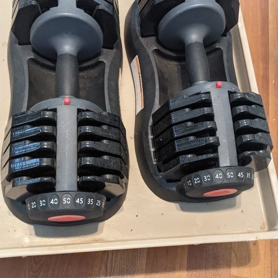 Ethos Adjustable Dumbbells 100lbs for Sale in San Juan Capistrano CA OfferUp