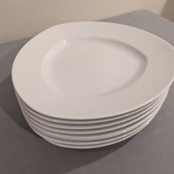 12" Crate & Barrel Dinner Plates