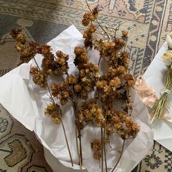 Dried Hops