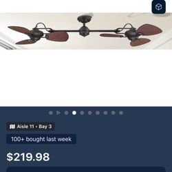 Ceiling fan