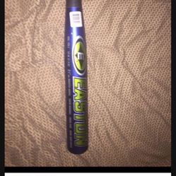 Easton Baseball Bat- Youth.