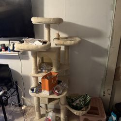 USED CAT TREE