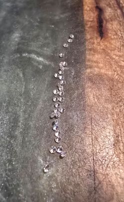 1.5mm Lab Diamonds E/F color VS/VVS clarity