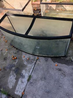 Fish Tank