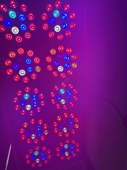 KIND LED GROW LIGHTS