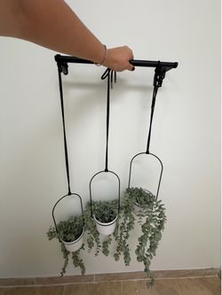 Artificial plants decor and Hanger