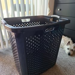 Laundry Basket