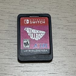 Cathrine Full body Nintendo Switch 