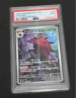 Pokemon Graded Slabs