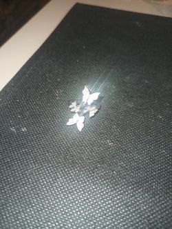 Beautiful Butterfly Ring Adjustable 925 With Zz's $25
