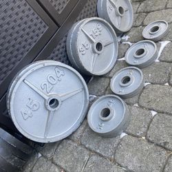 Olympic Deep Dish Weight Plates For Your Home Gym