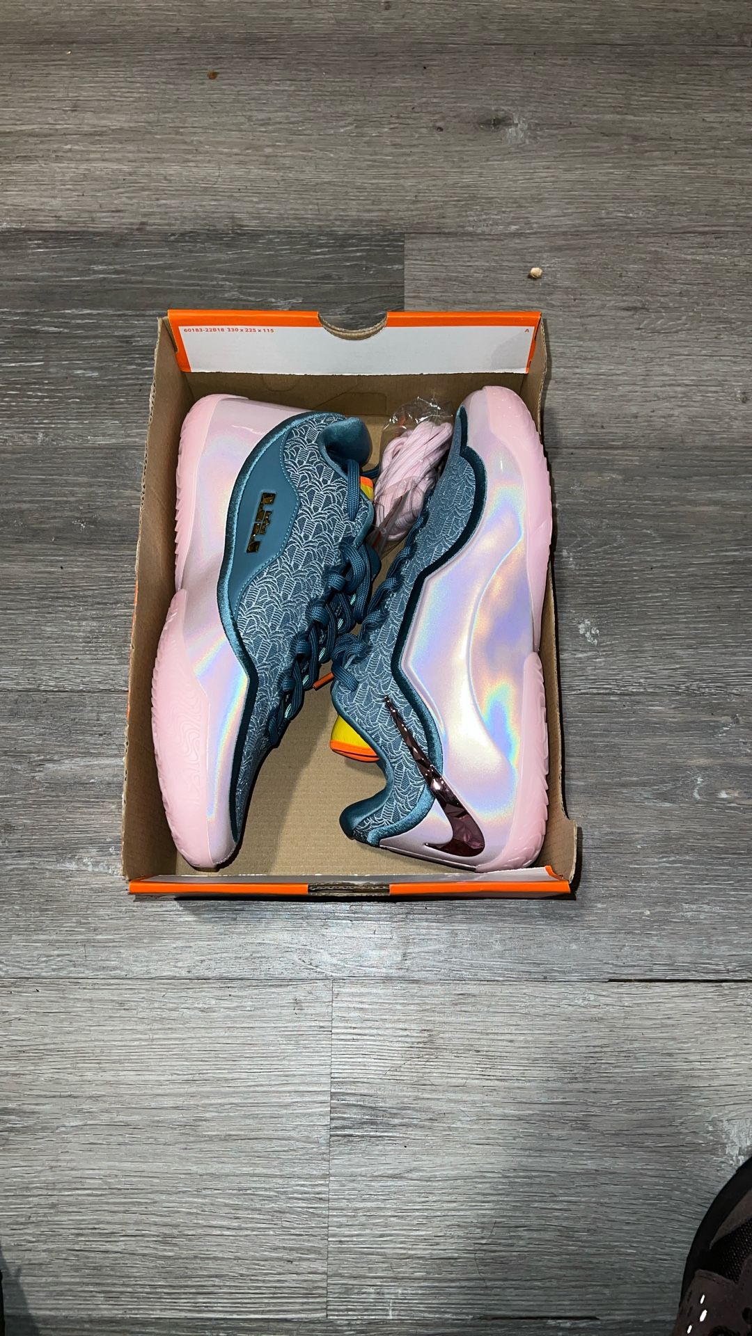 Nike LeBron Basketball Shoes 