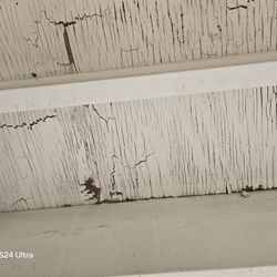 Water Damage Restoration 