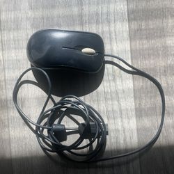 Office Mouse