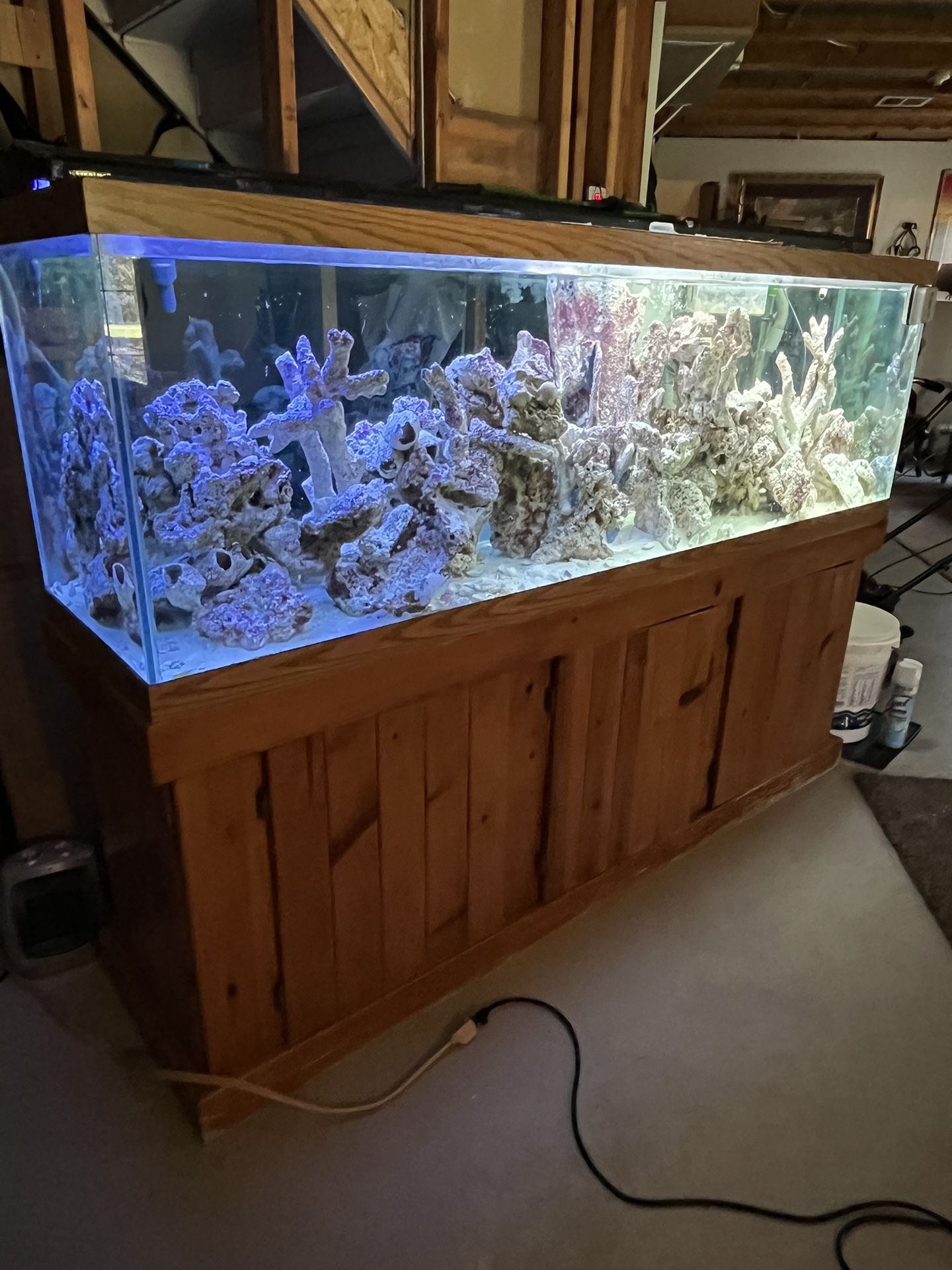 125 Gallon Fish Tank And Live Coral And Parts