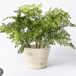 18" x 15" Artificial Fern Plant in Pot - Threshold™ designed with Studio McGee