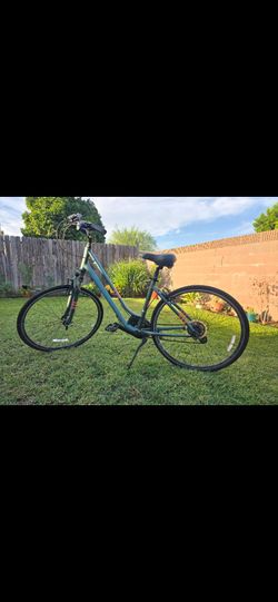 LIV FLOURISH BIKE