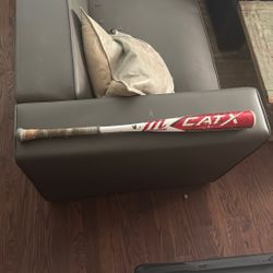 CAT X BBCOR 33” -3