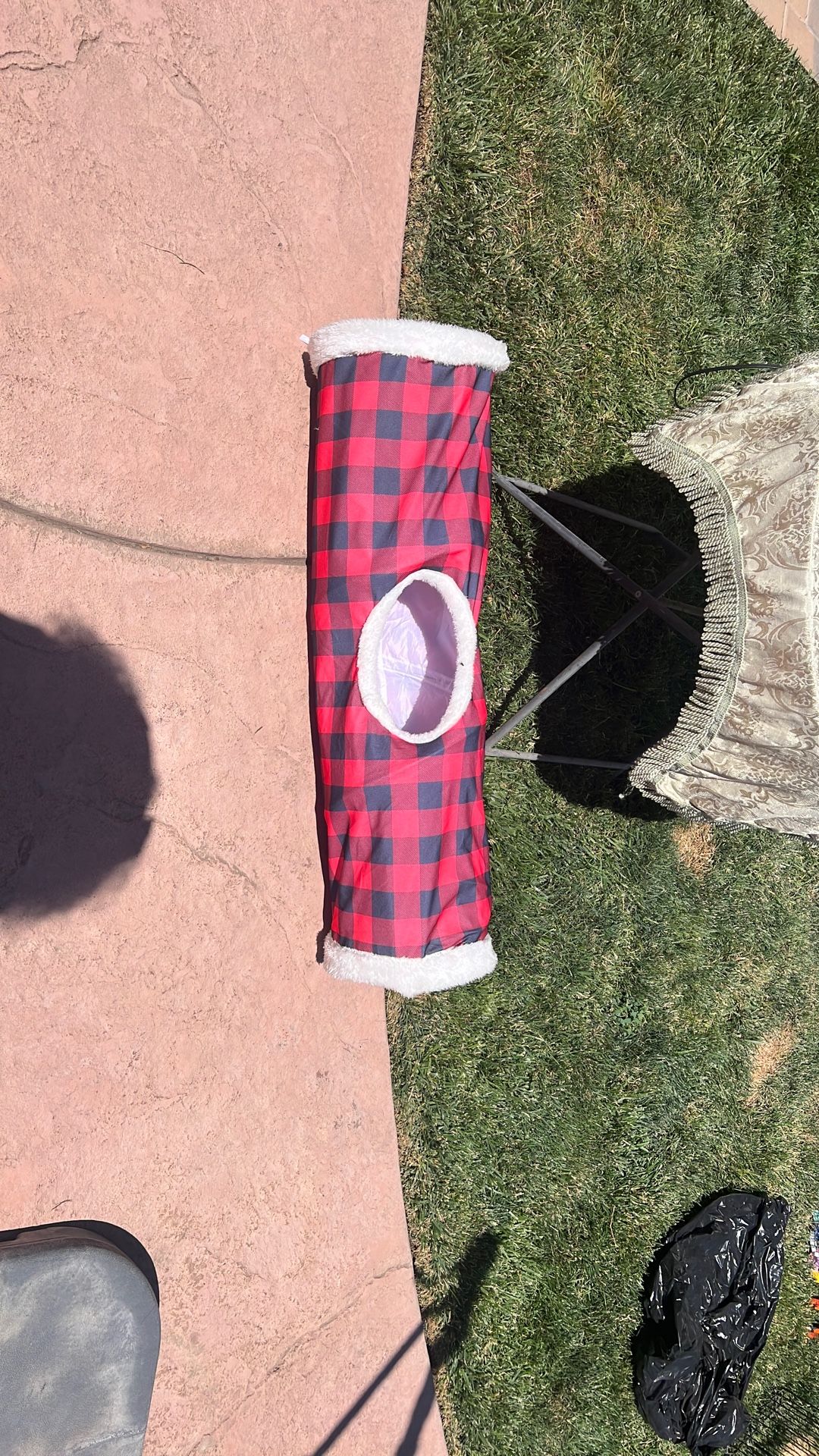 Cat Tunnel