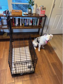 Top Paw Double Door Folding Wire Dog Crate