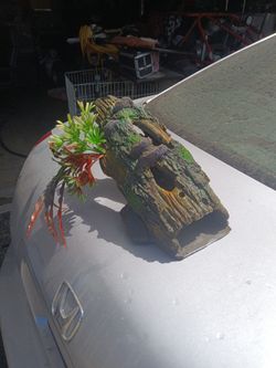 Fish Tank Decorations