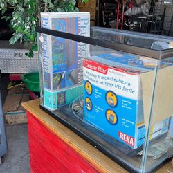 Fish Tank + Filter