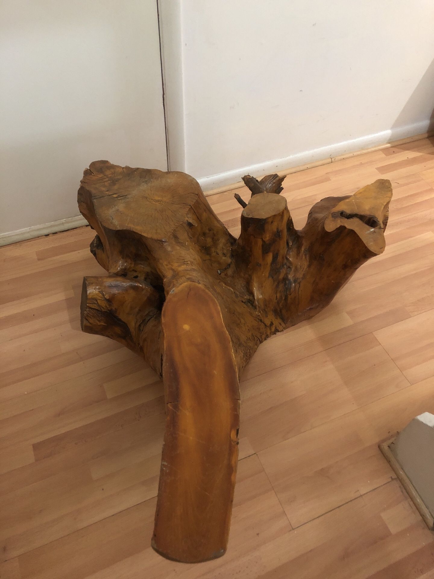 Natural Tree Stump Coffee Table