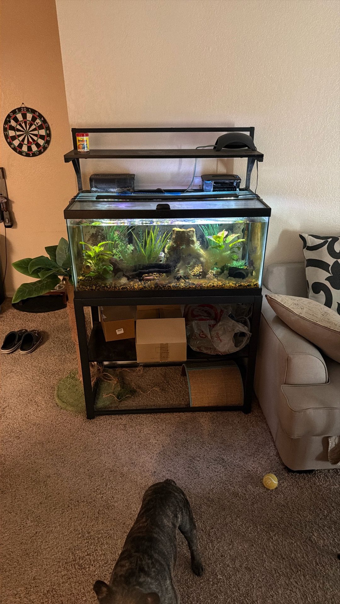 40 Gallon Tank & Stand