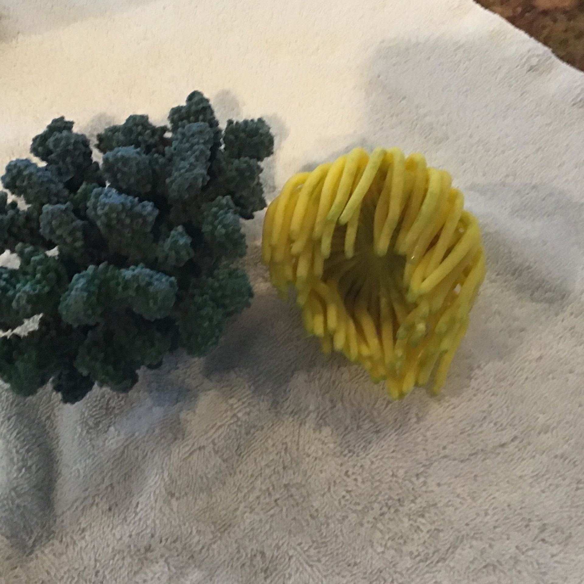 Coral
